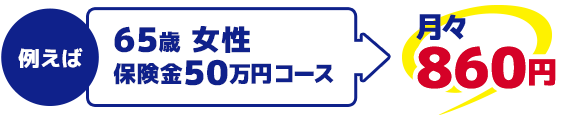 例えば、65歳女性50万円コース月々860円