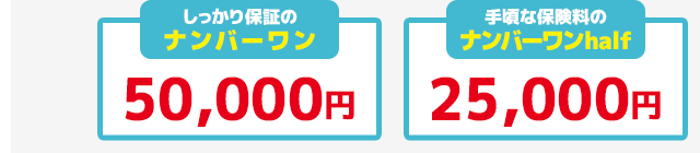 手術 1入院につき