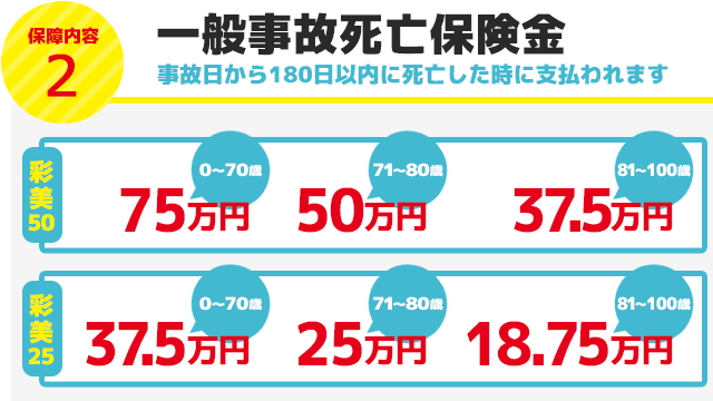 一般事故死亡保険金 事故日から180日以内に死亡した時に支払われます