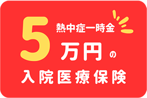 熱中症一時金特約付き医療保険