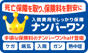 ケガ・病気・がん入院を手厚く保障した医療保険ナンバーワン