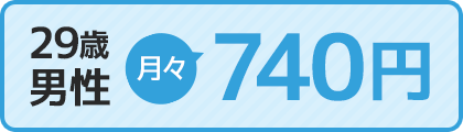 300万円プラン 男性 月々740円